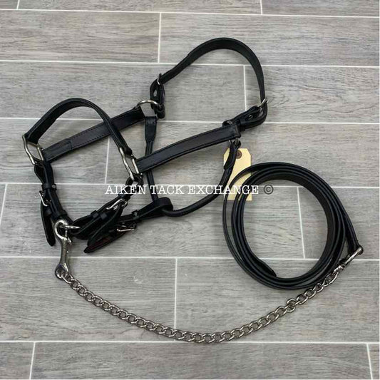 Tory Leather Show Halter & Chain Lead, Size Cob