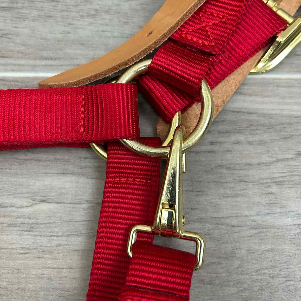 Nylon Breakaway Halter, Size Full