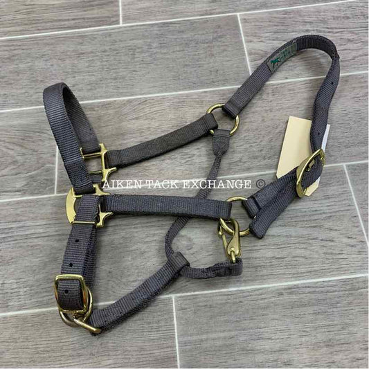 Nylon Halter, Size Colt