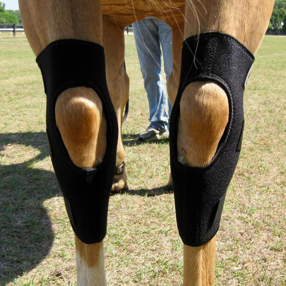 Hock wraps outlet for horses